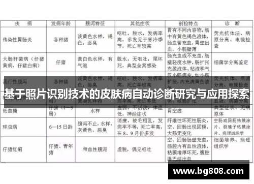 基于照片识别技术的皮肤病自动诊断研究与应用探索