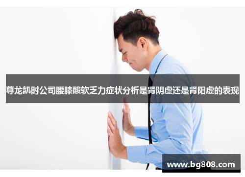 尊龙凯时公司腰膝酸软乏力症状分析是肾阴虚还是肾阳虚的表现