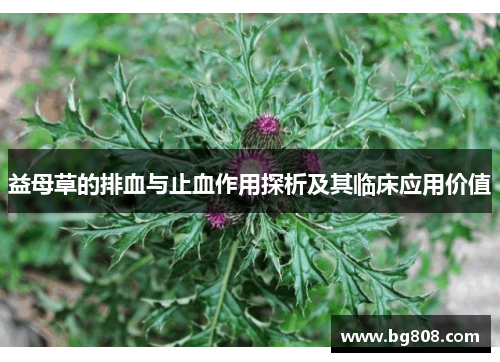 益母草的排血与止血作用探析及其临床应用价值