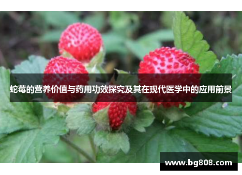 蛇莓的营养价值与药用功效探究及其在现代医学中的应用前景